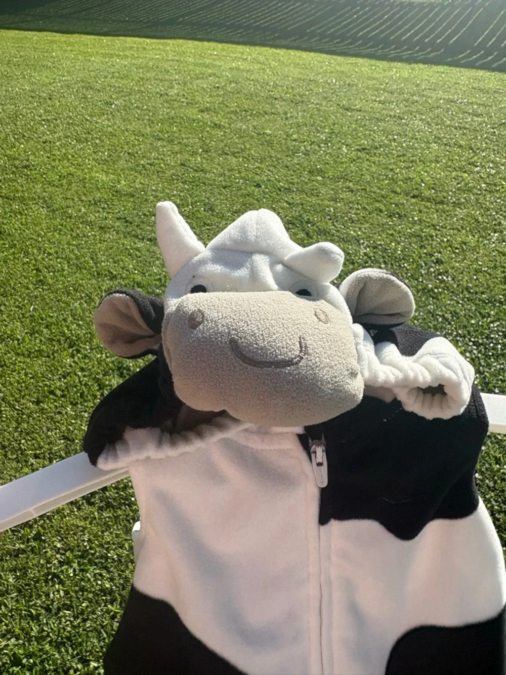 Carter’s cow costume 3-6 months Zip up hooded body only GUC - Picture 2 of 8